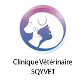 partenaire Clinique Vétérinaire SQYVET